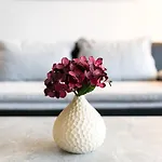 Waldidylle - A601 By Interhome Appartamento