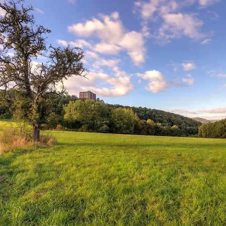 Waldidylle - A601 By Interhome Lahnstein
