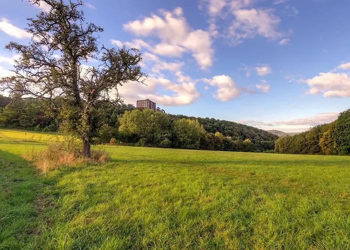 Waldidylle - A601 By Interhome Lahnstein